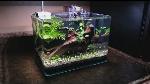 fish-tank-filter-ajl